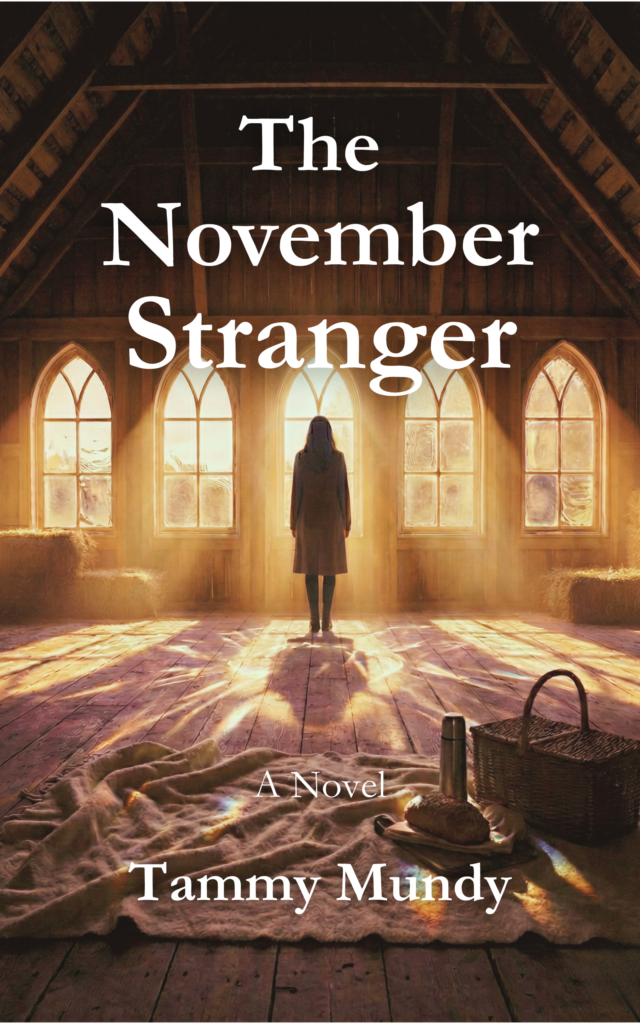 The November Stranger: A Novel by Tammy Mundy, author in Charlottesville, VA